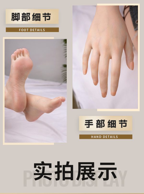 海月